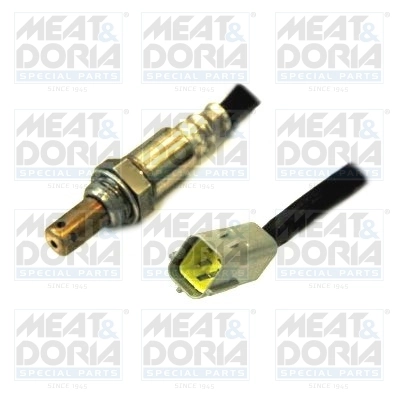 Oxygen Sensor